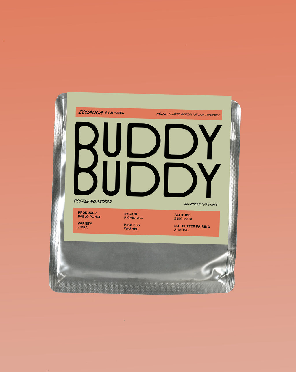 Black T-Shirt – BUDDY BUDDY (US)