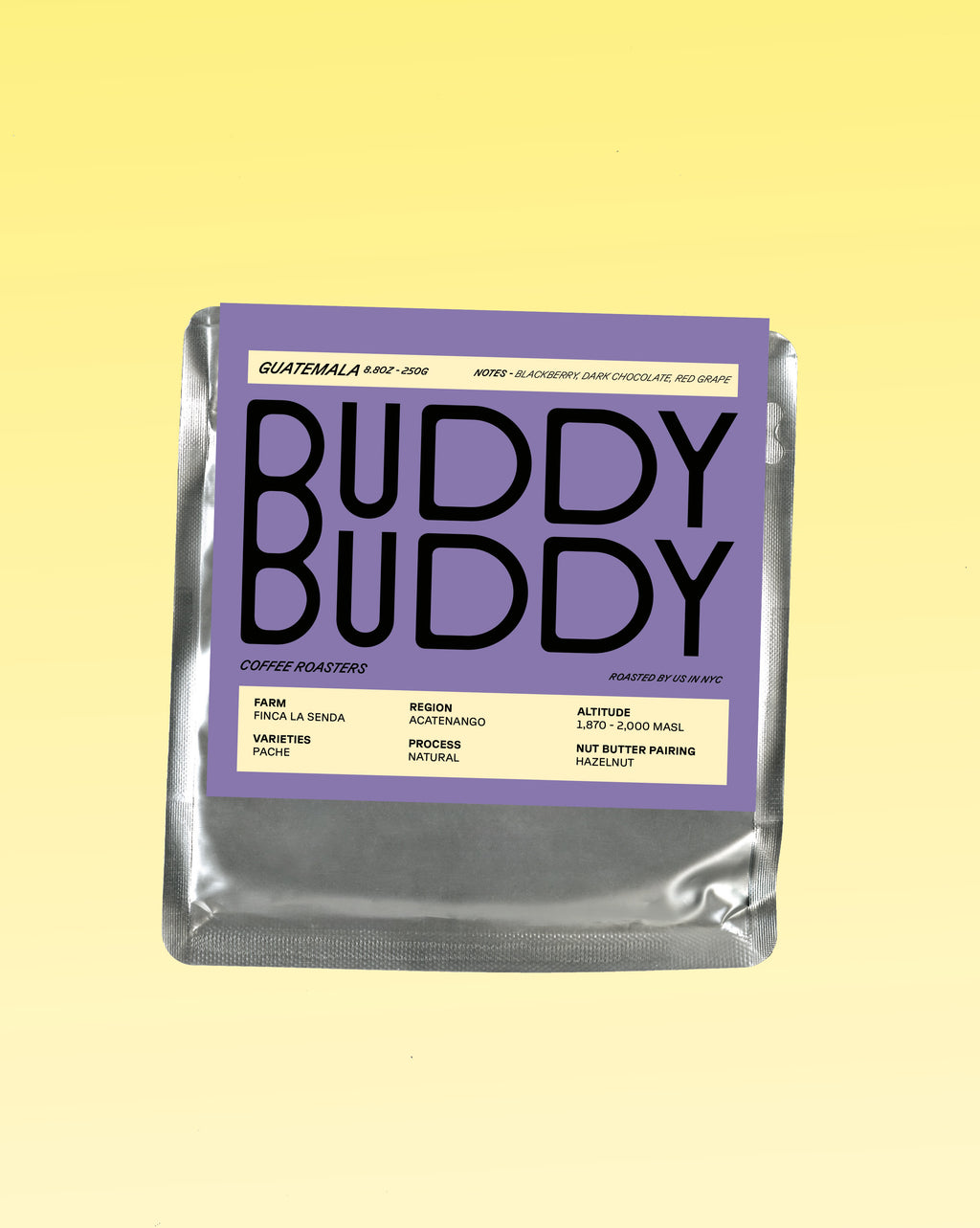 Black T-Shirt – BUDDY BUDDY (US)